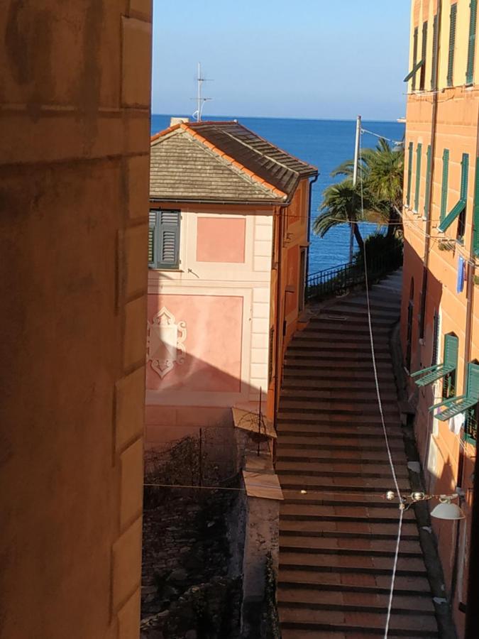 Al Porto 61 - Rooms For Rent Camogli Buitenkant foto