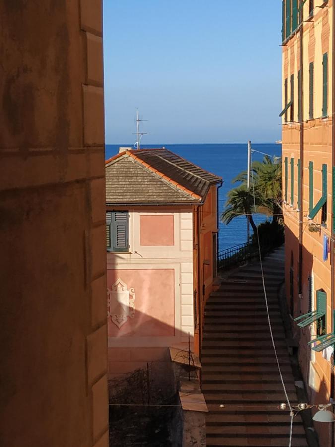 Al Porto 61 - Rooms For Rent Camogli Buitenkant foto